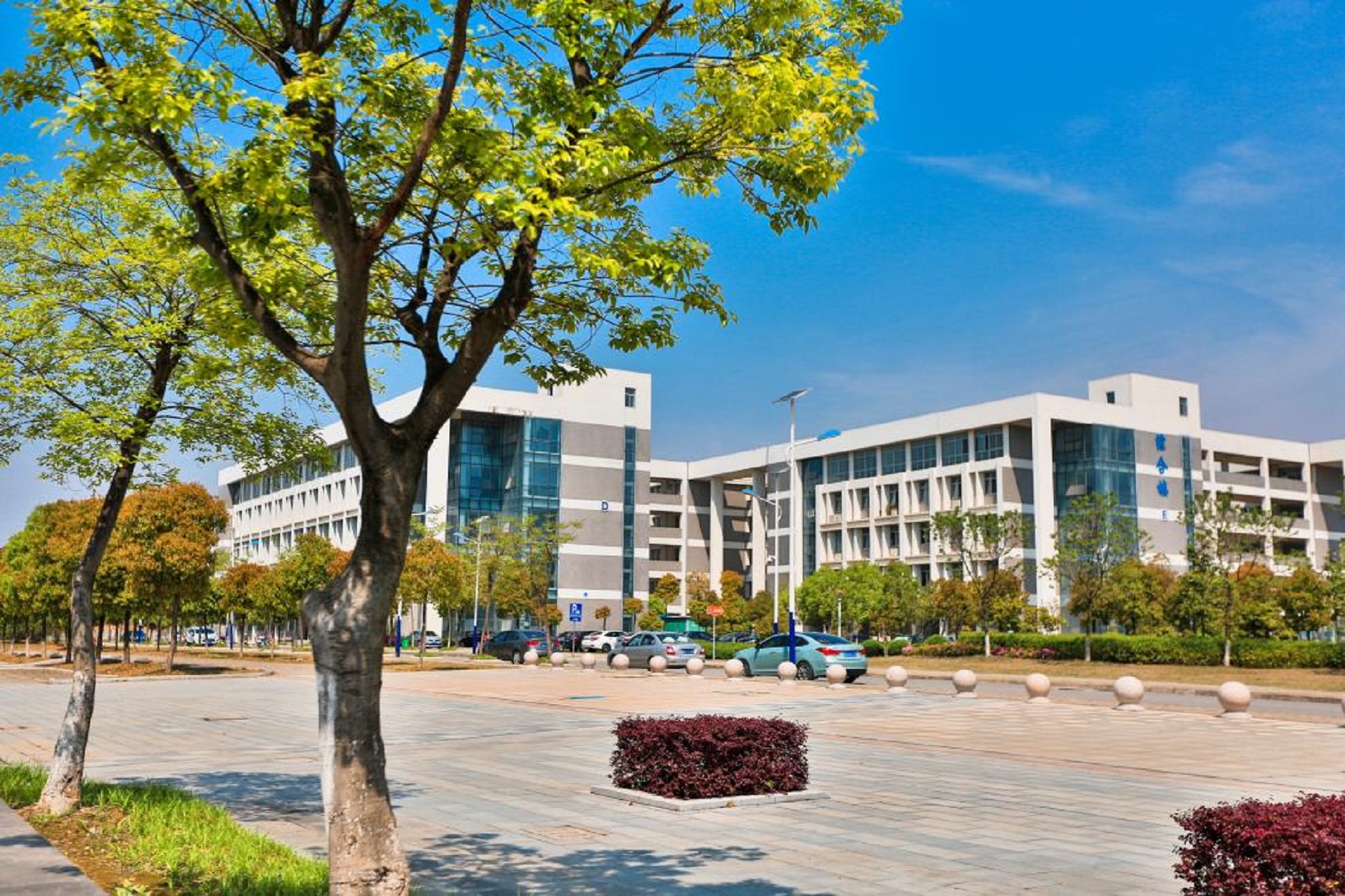  p>合肥职业技术学院是合肥市属综合性高职院校,是省教育厅确立的安徽