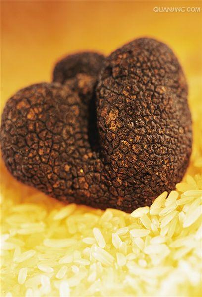  p>黑松露(拉丁名为tuber melanosporum , a target="_blank" href="