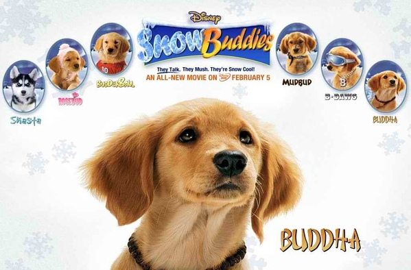  p>《护宝狗狗》是由 a>罗伯特·文斯 /a>执导的一部喜剧片.