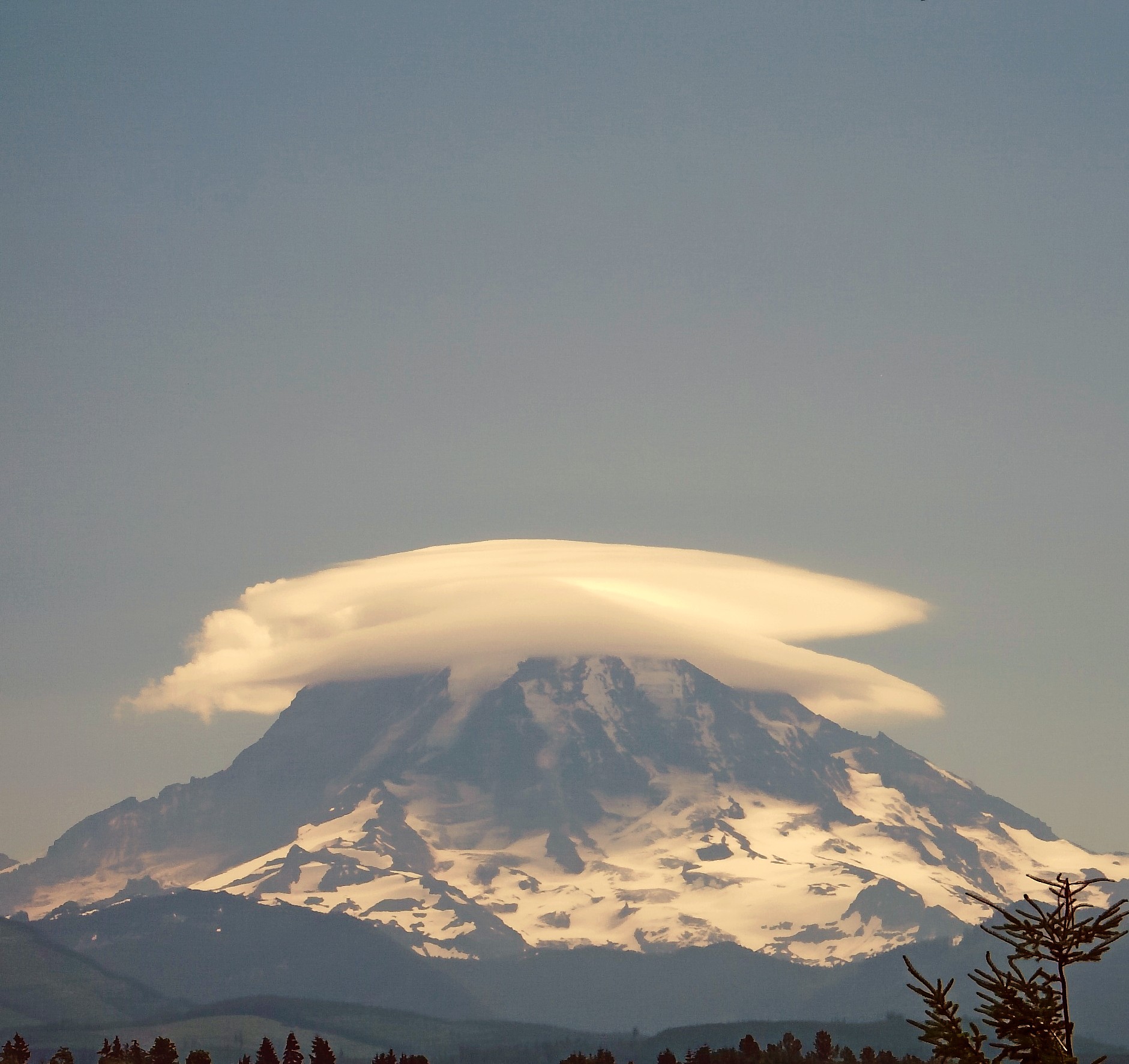  p>荚状云,又称飞碟云,是指一种状如飞碟云形,以透镜形状出现在高空