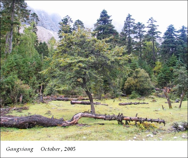 岗乡自然保护区