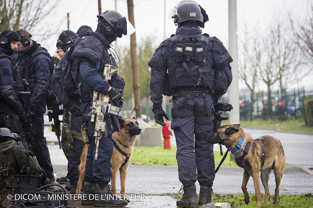 法国国家宪兵特勤队