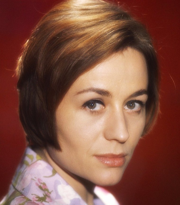 安妮·吉拉尔多