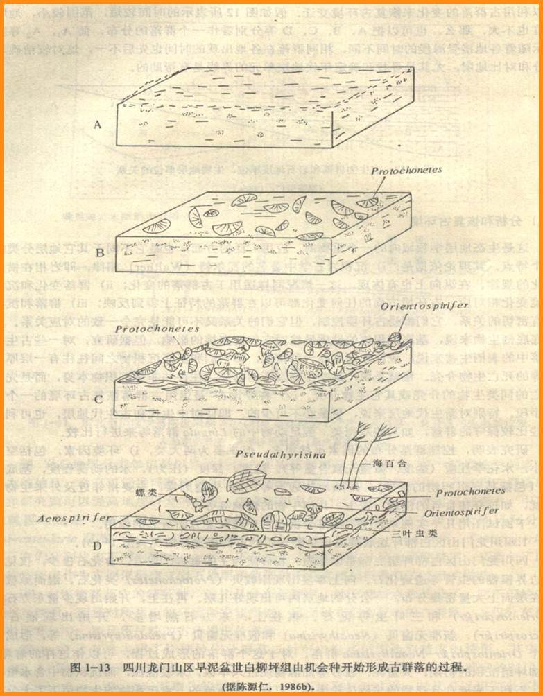  p>生态地层学是以生物群落演化事件作为地层标志来划分对比地层的