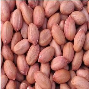 烟台大花生