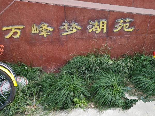 data-id="gn5qzh4h7t">万峰梦湖苑一期至二期是位于上海市的住宅小区