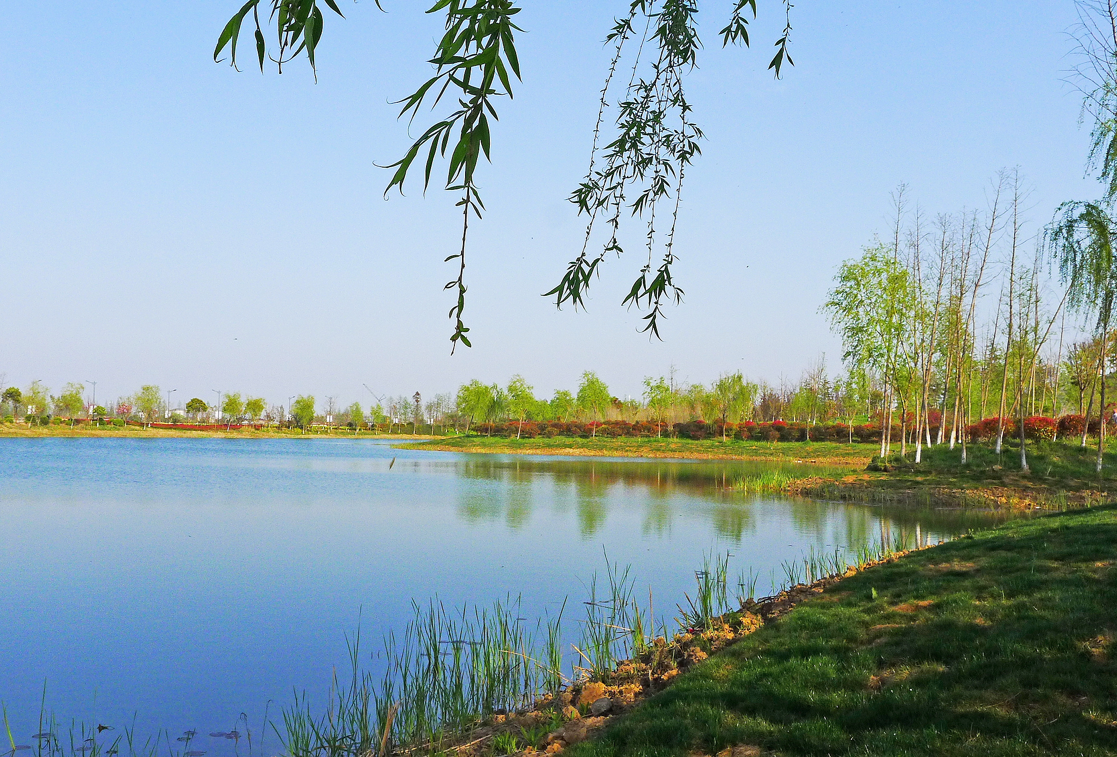 大洋湾生态运动公园