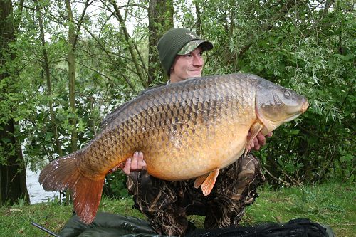  p>"大鱼本森"引,本是一条鲤鱼,生活在英国 a target="_blank" href="