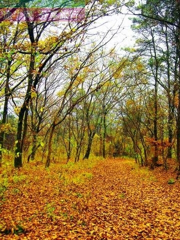  p>蜀山春晓位于安徽省蜀山区西部合肥西郊9公里,海拔284米,总占地