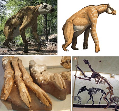  p>砂犷兽是爪兽科的一种动物.