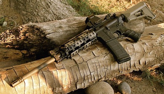 del-ton)最新推出的完全针对警用市场的一款近距离使用的高精度卡宾枪