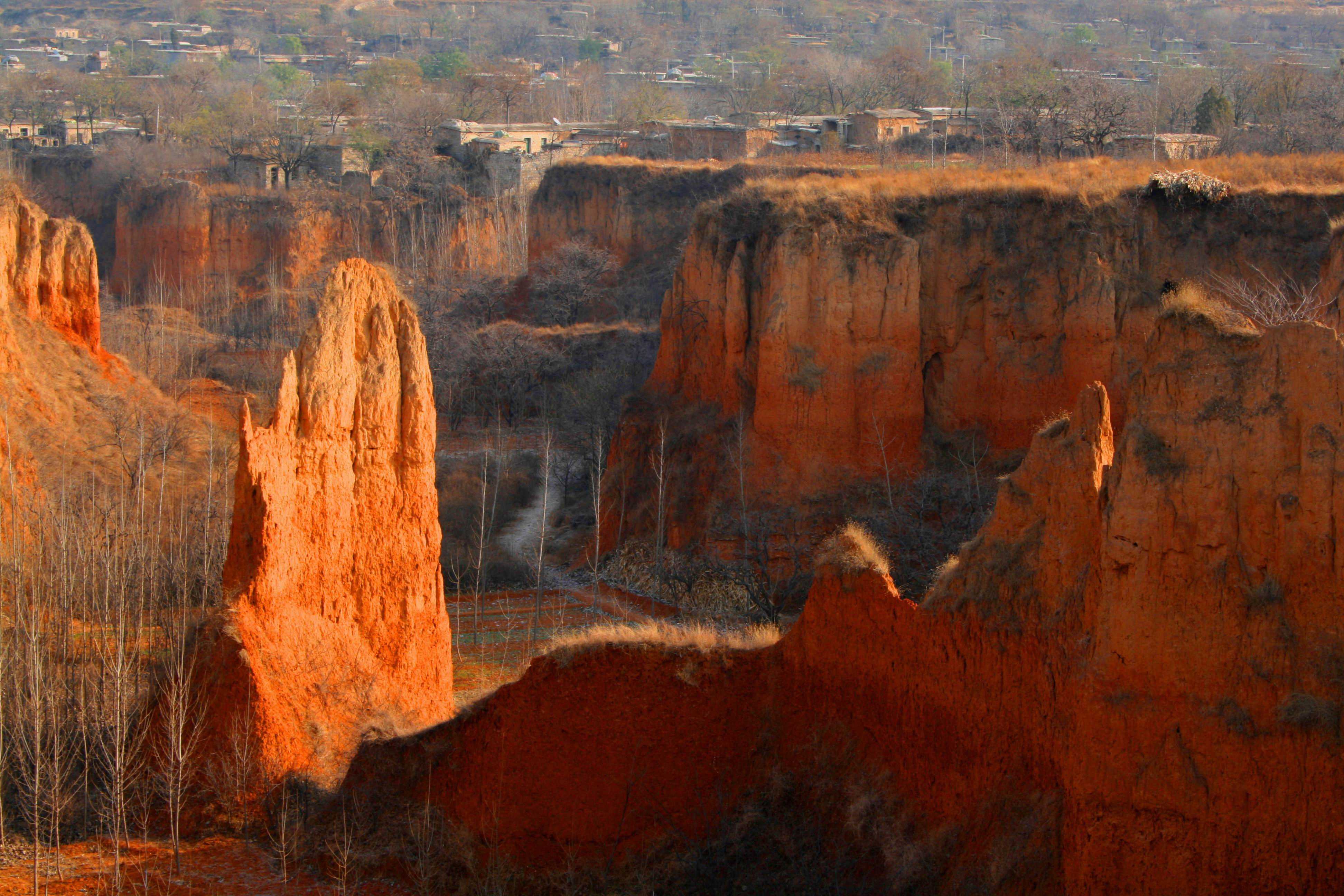  p>南台村土林,南台村附近有一条平地下陷三十余米深的黄土沟,黄土沟