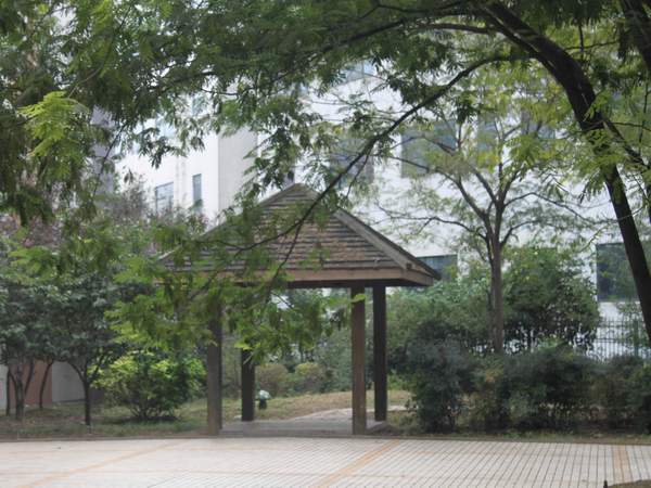 合肥市嘉和苑小学