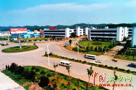 工业强县,三业强县"培育新的经济增长点的发展战略,设立了江西广丰