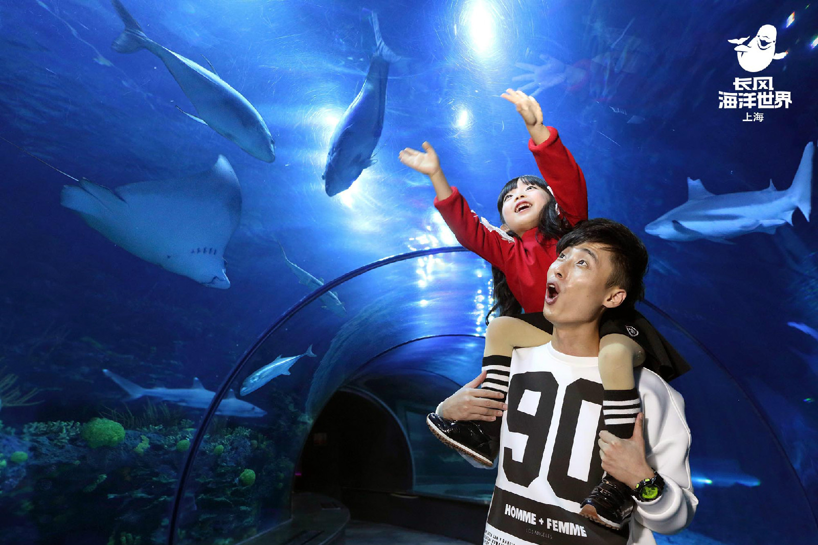  p>上海长风海洋世界隶属于 a target="_blank" href="/item/欧洲