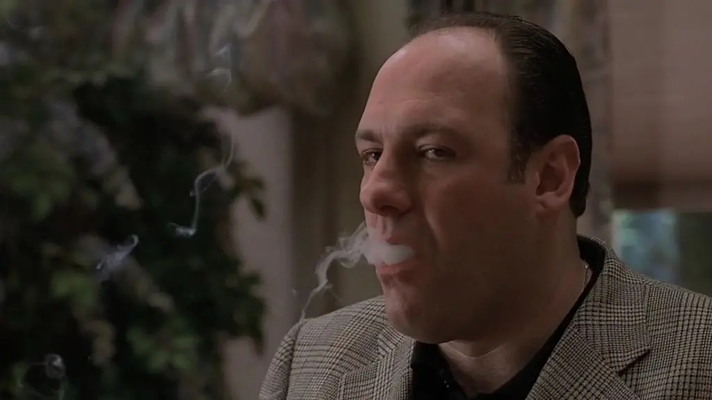  p>意大利移民后裔托尼-瑟普拉诺所在黑帮的头领死后,托尼成为了