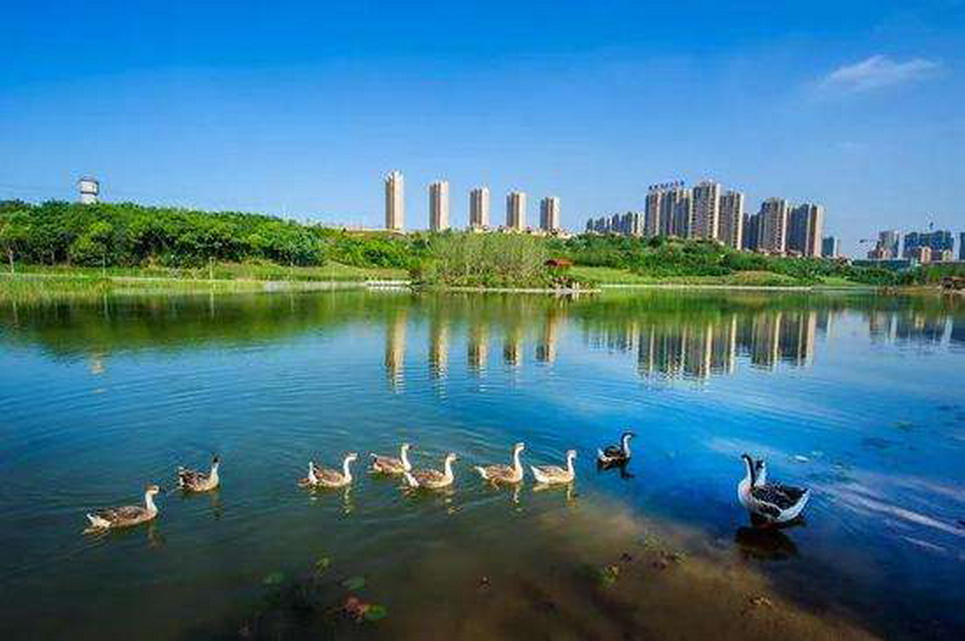 whlgcfcw">雁鸣湖位于 a target="_blank" href="/item/西安/121614"