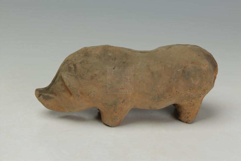 汉灰陶猪
