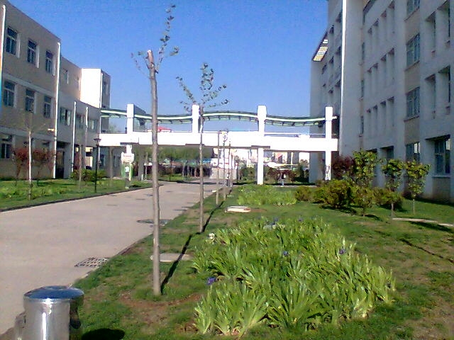燕山大学附中