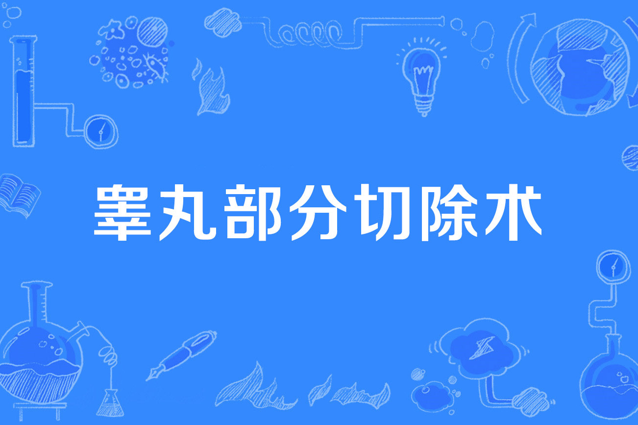 睾丸部分切除术
