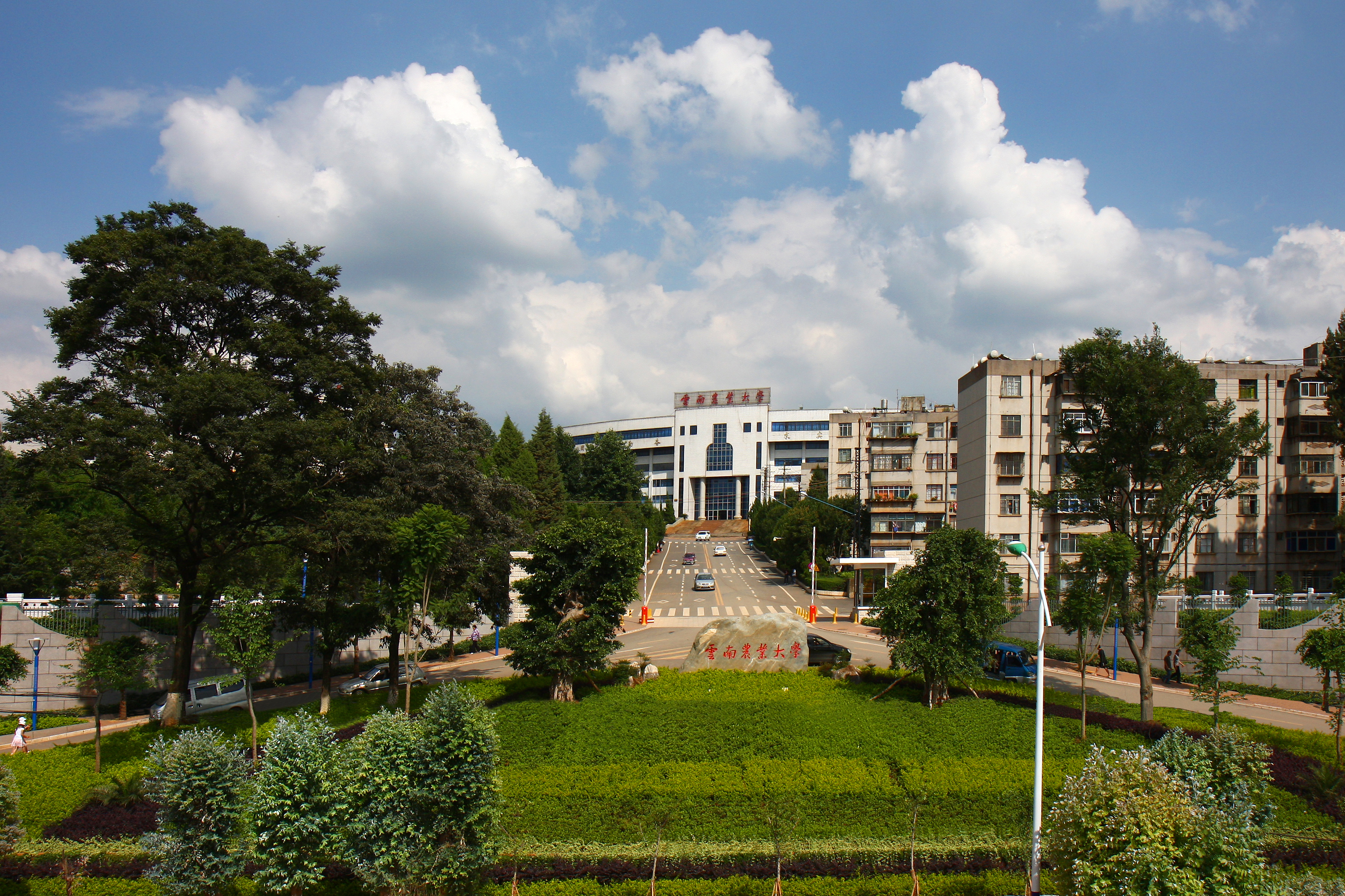  p>云南农业大学(yunnan agricultural university,yau),简称"云农大"