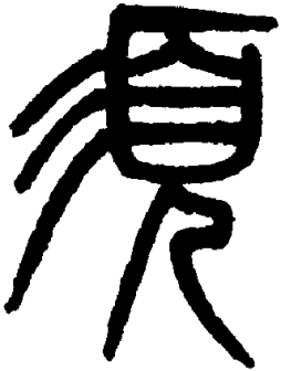 须（汉语汉字）_百度百科