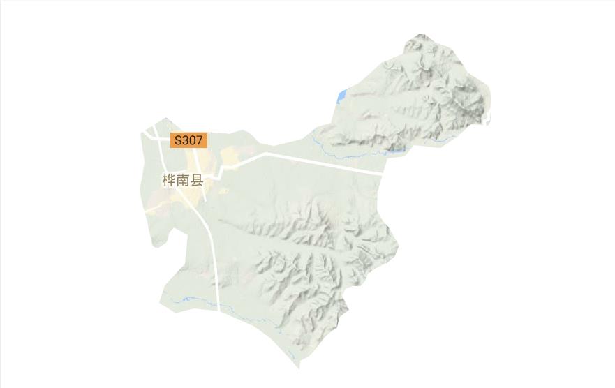 桦南镇