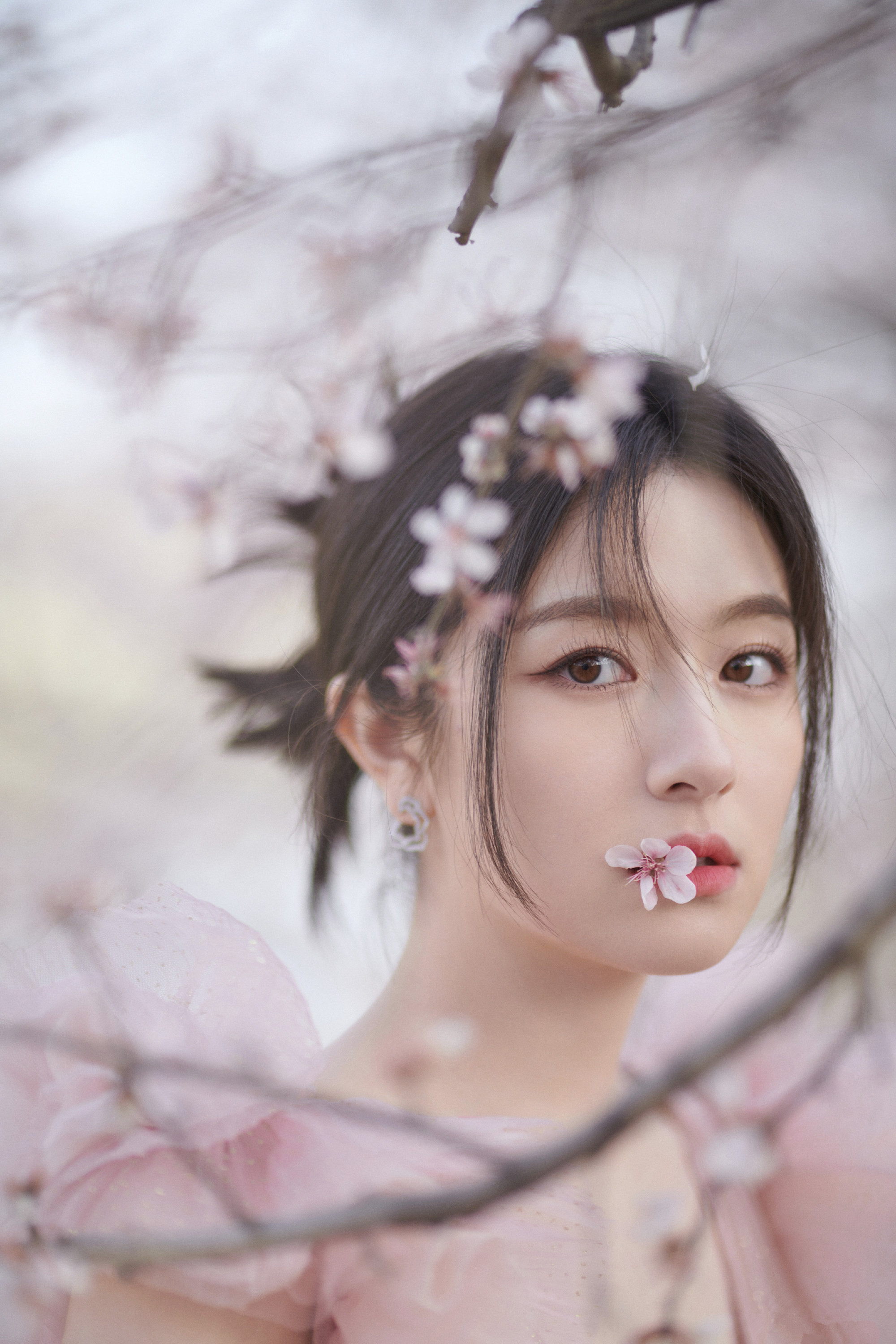 李兰迪