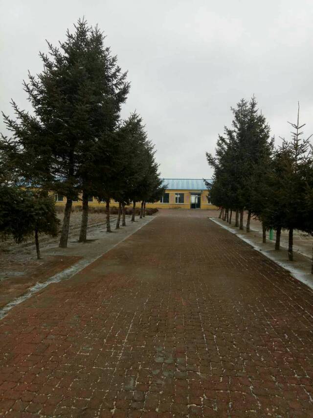  p>土桥镇,隶属于吉林省长春市榆树市,地处 a target="_blank" href="