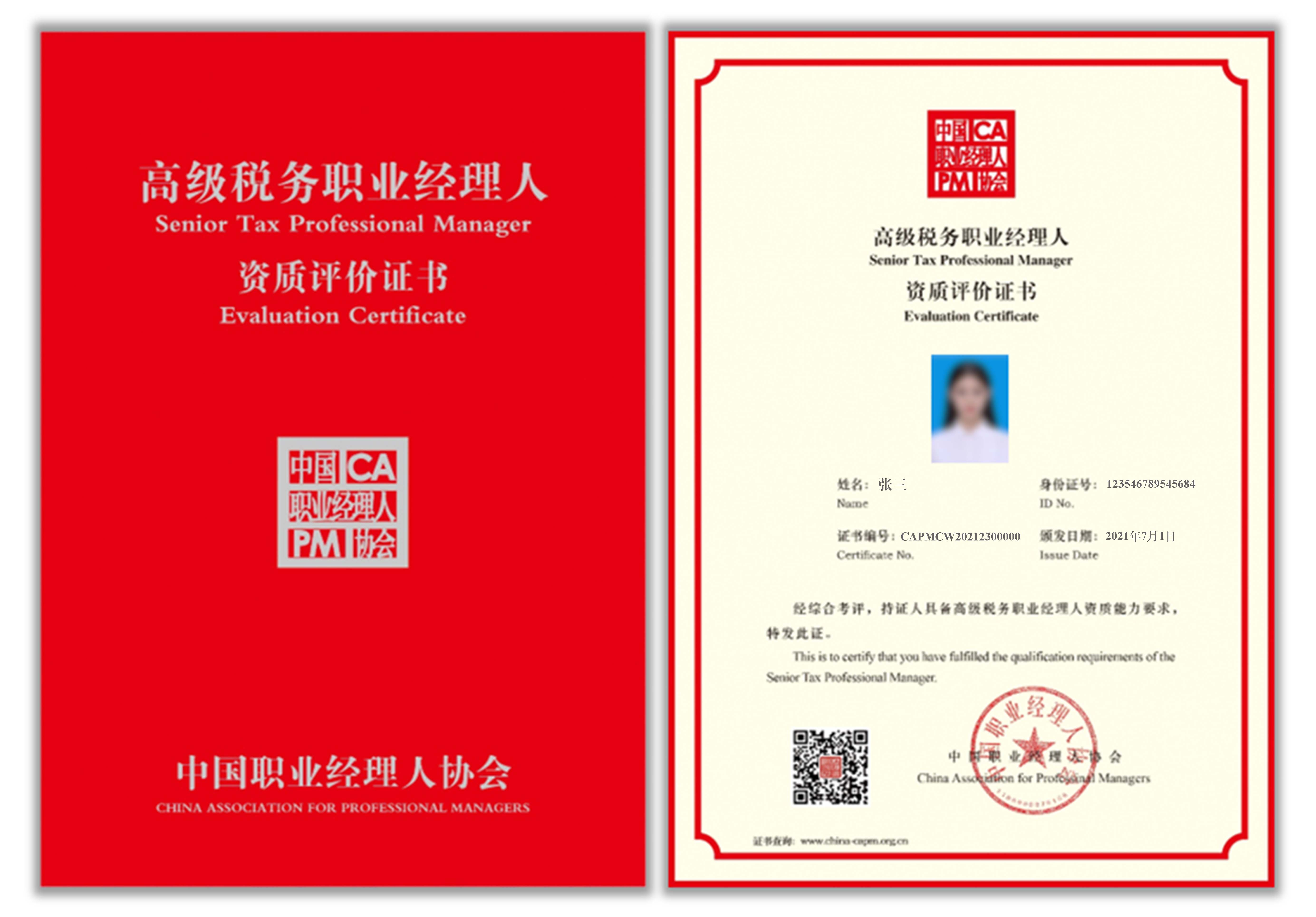 税务职业经理人