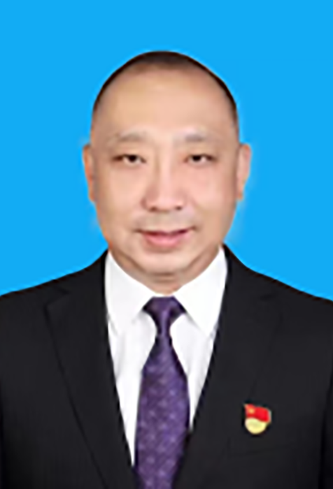 李钢（辽宁省沈阳市铁西区彰驿站街道党工委书记）_百度百科