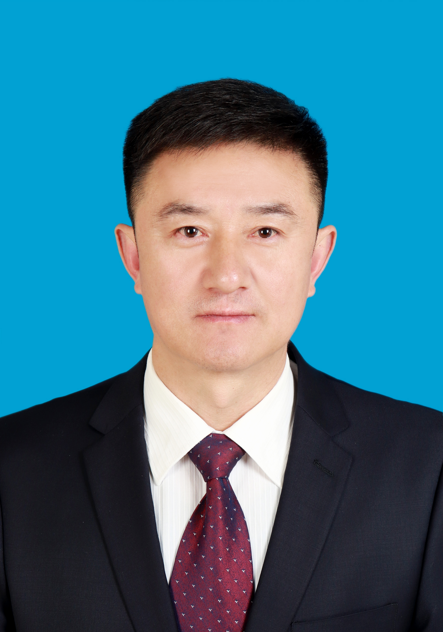 现任城固县政府党组成员,副县长,公安局局长 b>. /b> /p>