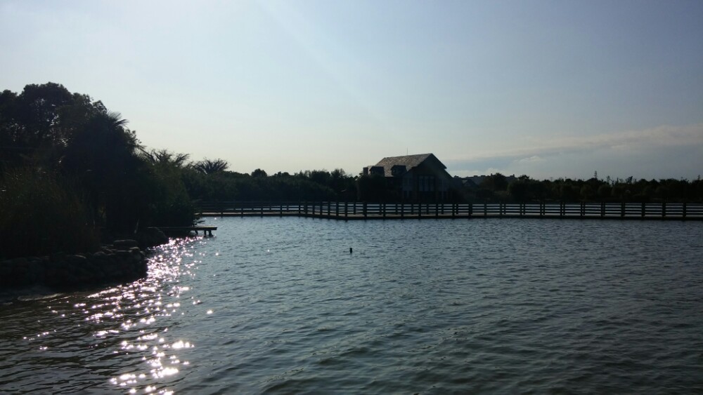 太仓金仓湖湿地公园