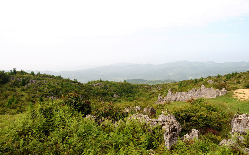 彭水摩围山景区