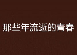 那些年流逝的青春