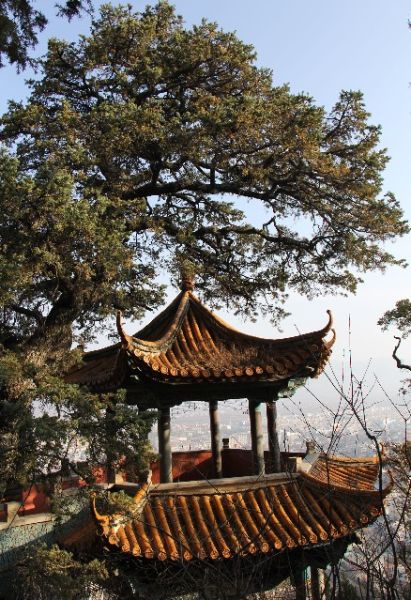  p>金钟山森林公园位于会泽古城西南端山麓,为会泽十景"金钟夕照"之一