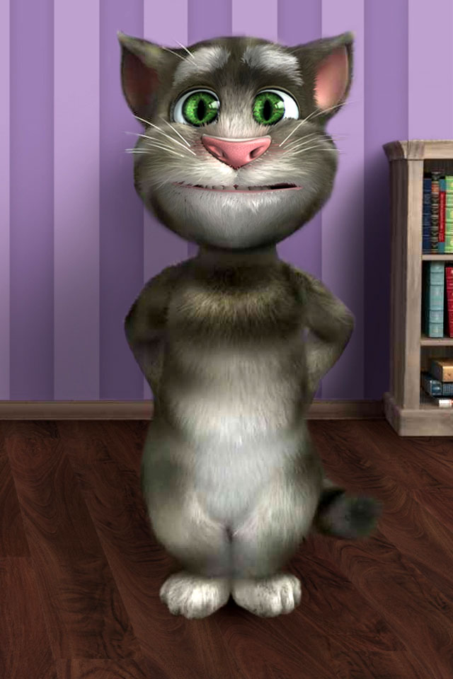 会说话的汤姆猫