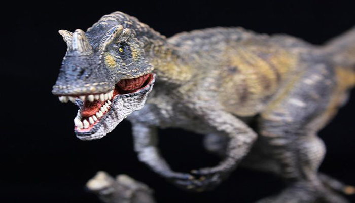 有一种很凶残的的食肉恐龙——角鼻龙,从外形上看,它与其他的食肉恐龙