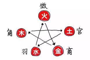 宫商角徵羽（中国传统五声音调名称）_百度百科