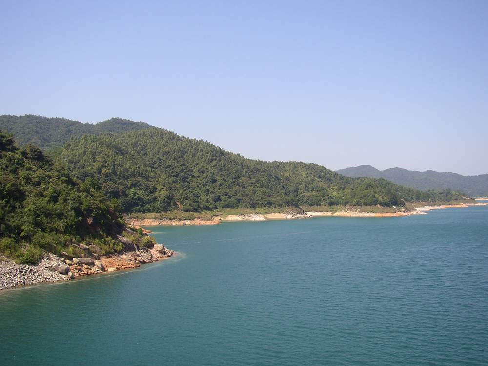 河源东源县 全网资源