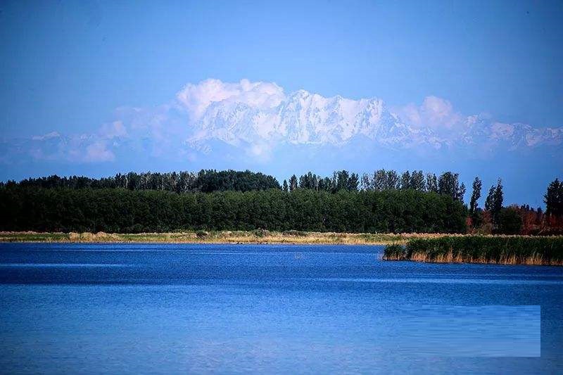 新疆呼图壁大海子国家湿地公园