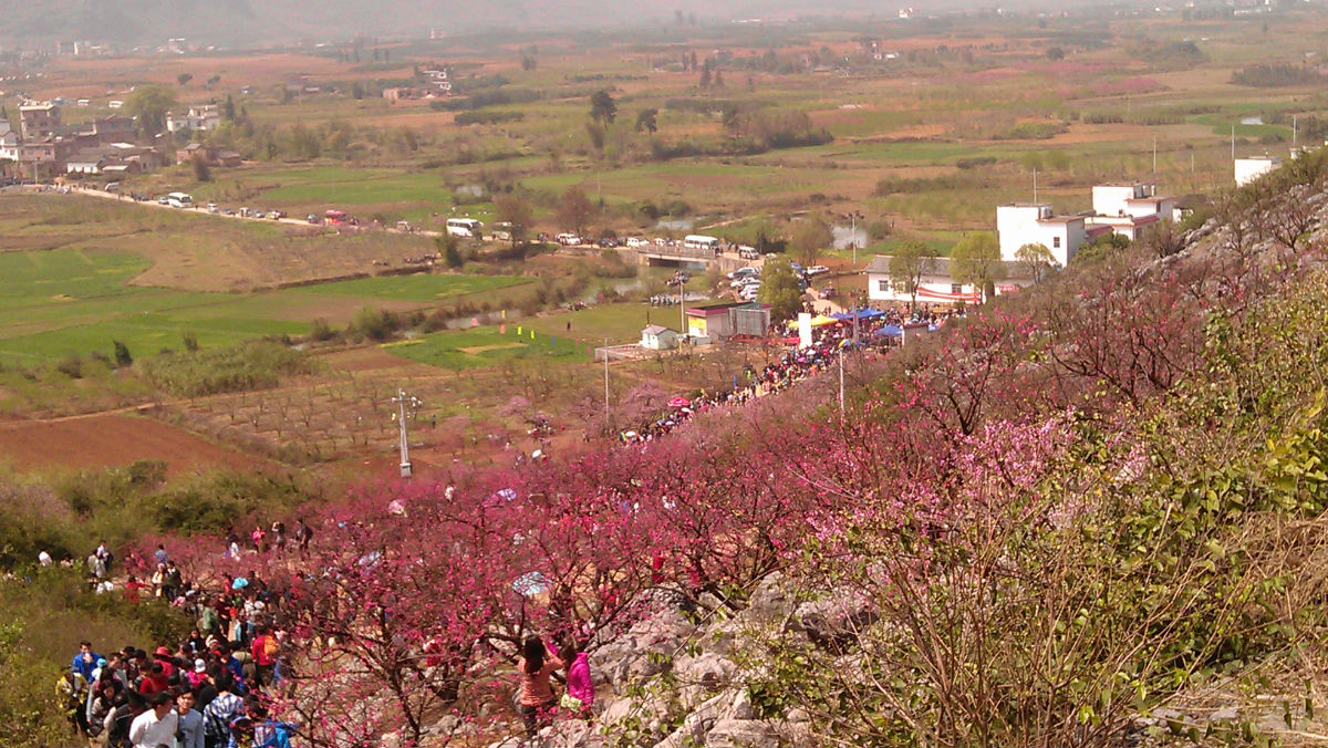 恭城桃花节