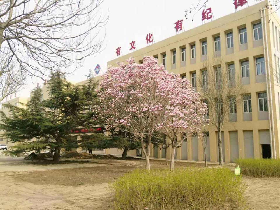 乐亭县第二中学