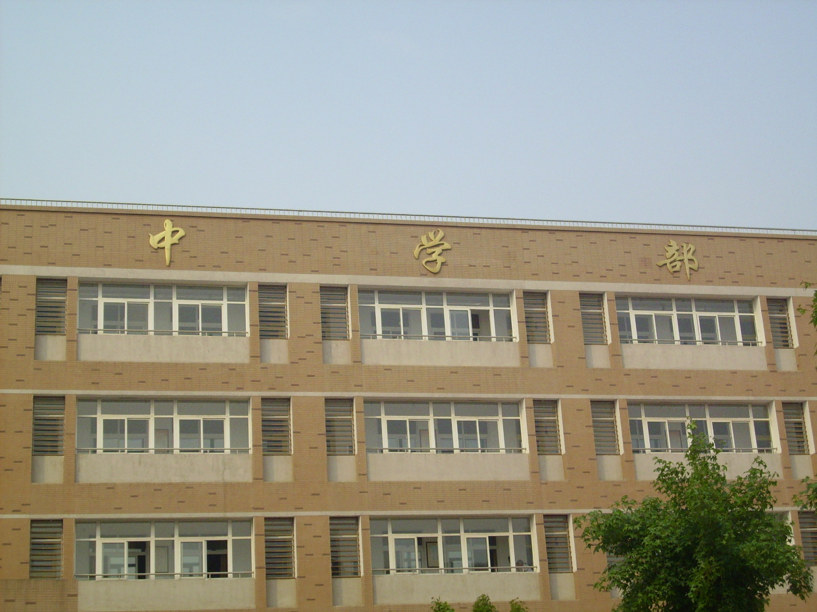  p>济南舜文中学是 a href="#">济南 /a>市教育局,济南市市中区区委