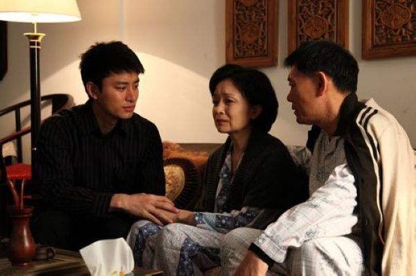 是由金英马影视集团与金画面影视传媒联合出品的36集家庭伦理电视剧