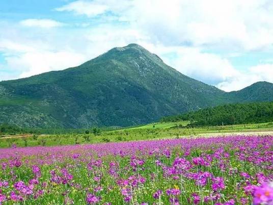 文海（云南省旅游景区）_百度百科