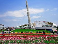 建荣·皇家海岸