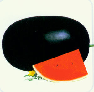 蜜宝西瓜