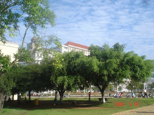 广西大学梧州分校