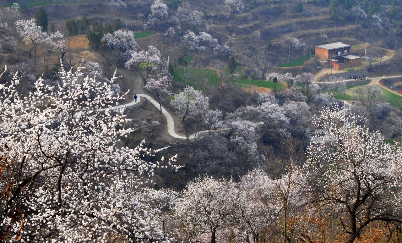  p>杏花村是河南省郑州市荥阳市下辖村. /p>